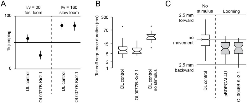 Figure 11—figure supplement 1.