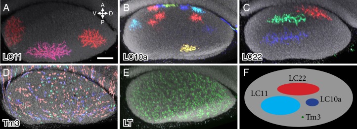 Figure 6.