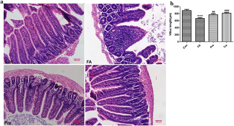 Fig. 8