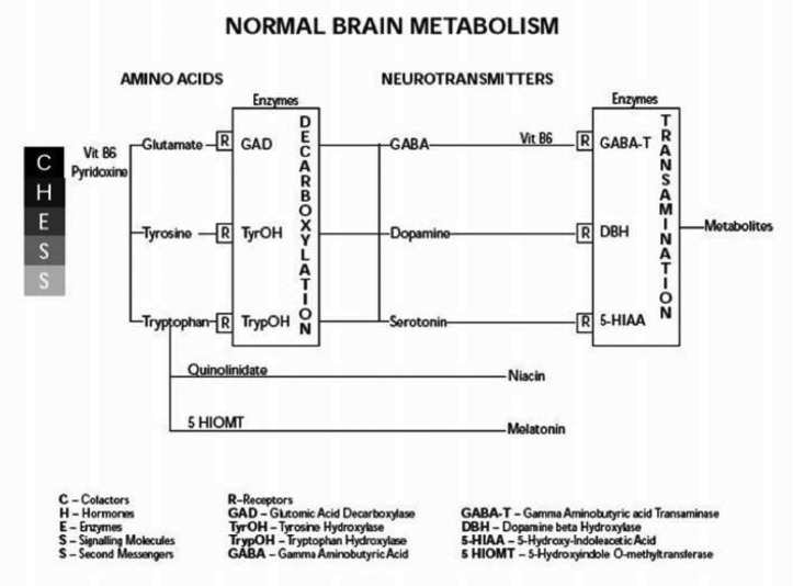 >FIGURE 1.