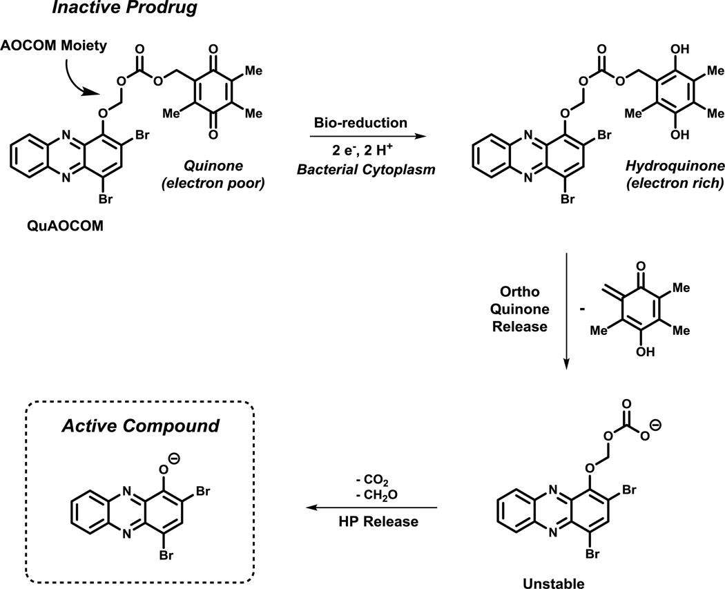 Figure 11.