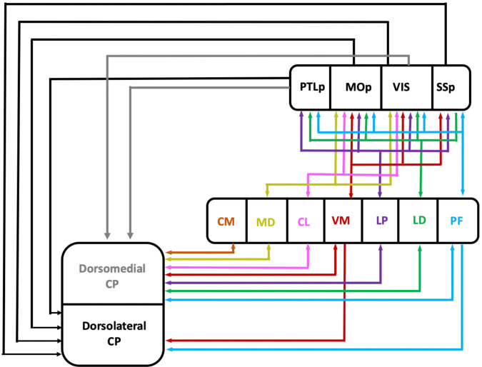 Figure 4—figure supplement 2.