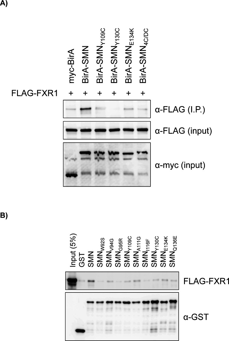 Figure S3.