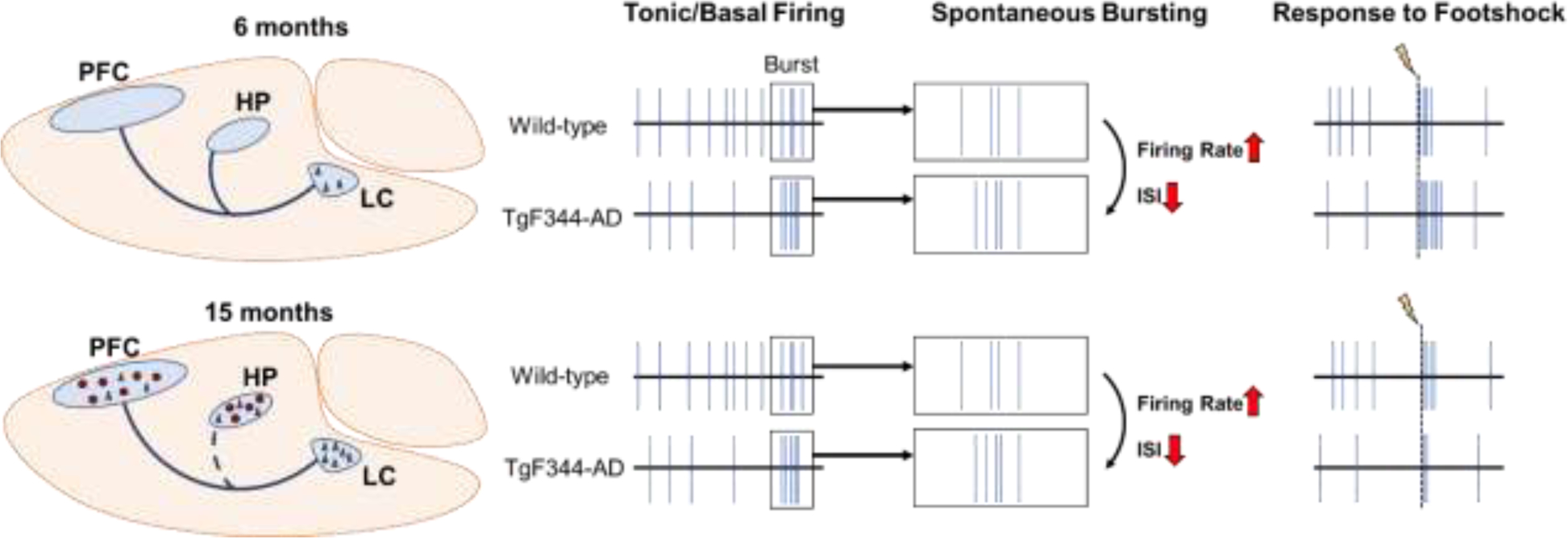 Figure 4: