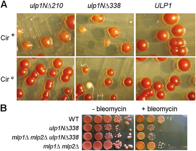 Figure 4.