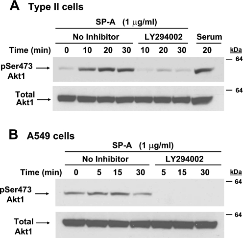 Fig. 9.