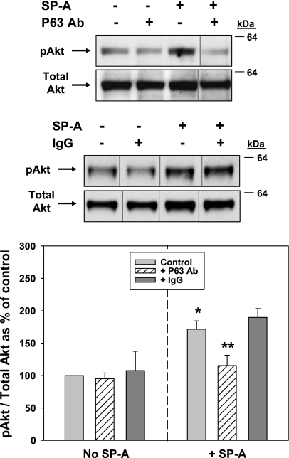 Fig. 10.