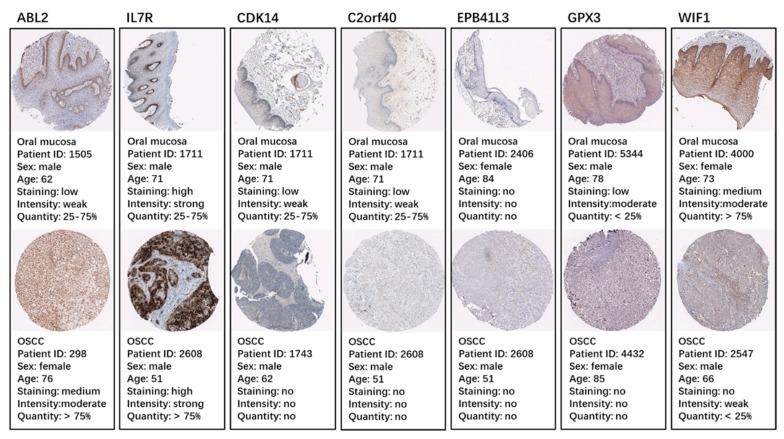 Figure 6