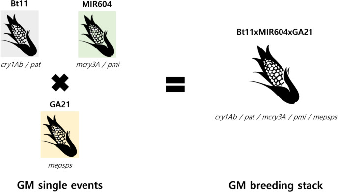 Fig. 1