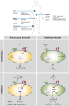 Fig. 2