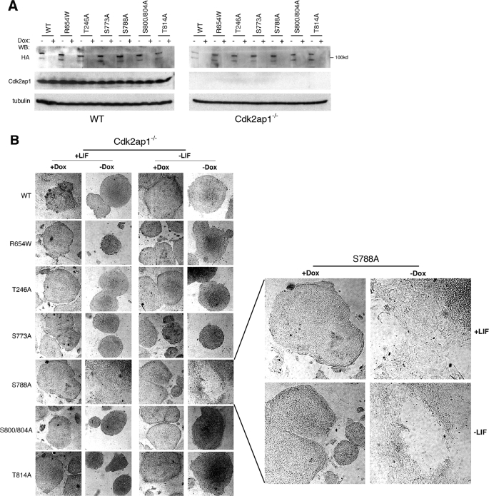 FIGURE 4.