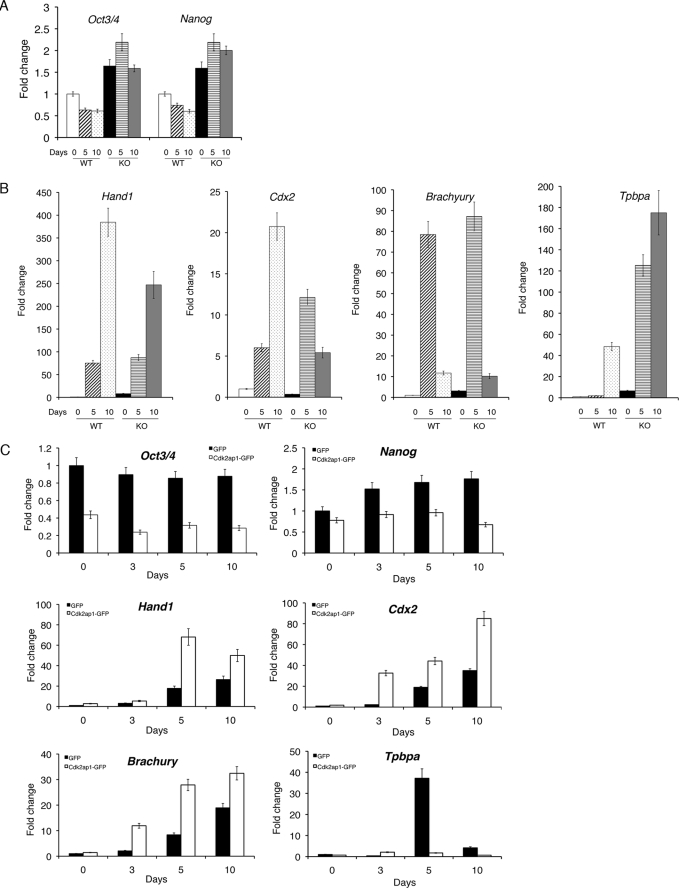 FIGURE 2.