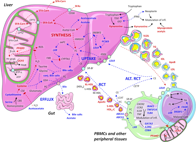 FIGURE 6