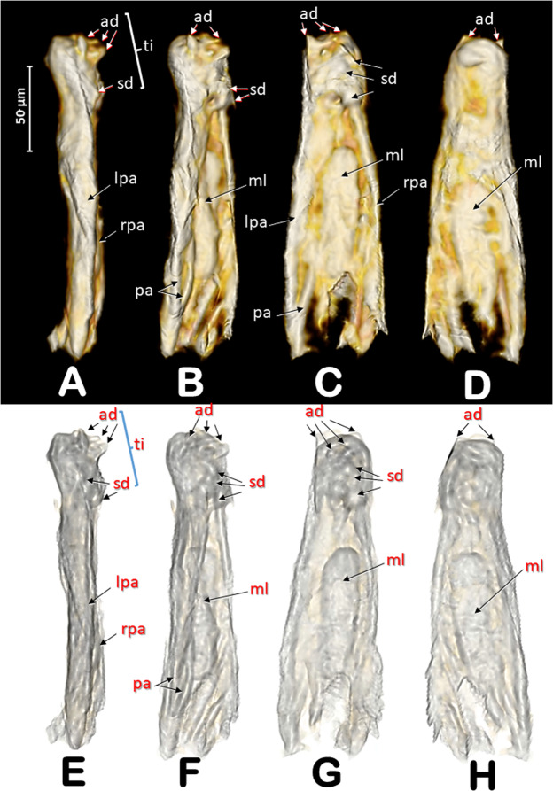 Figure 11