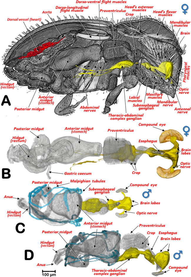 Figure 5