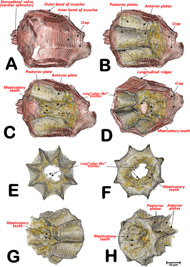 Figure 7