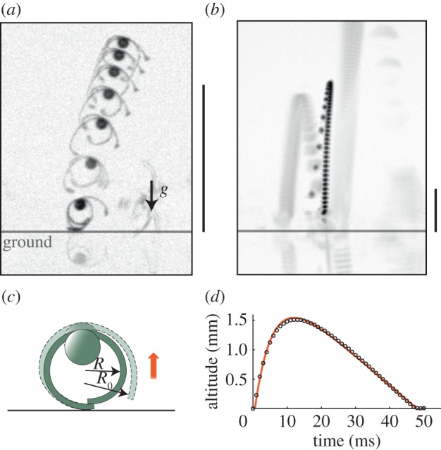 Figure 4.