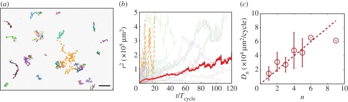 Figure 3.