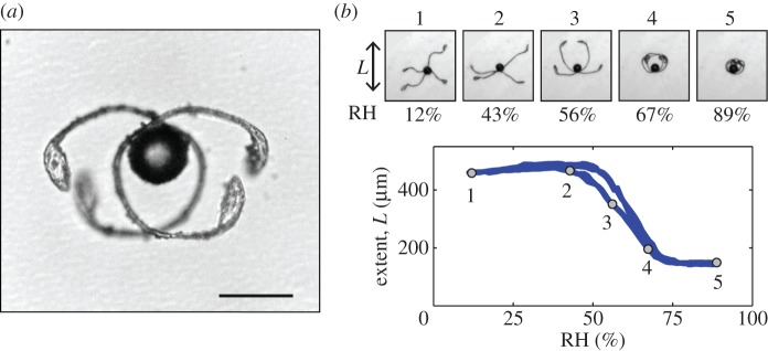 Figure 1.