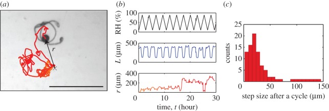 Figure 2.