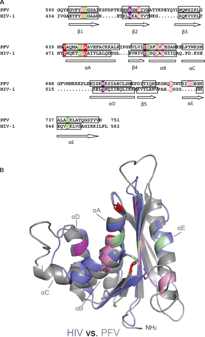 FIG 5