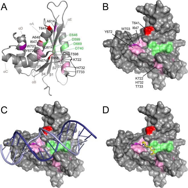 FIG 4