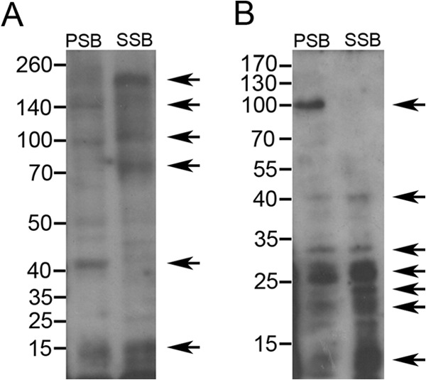 FIG 2