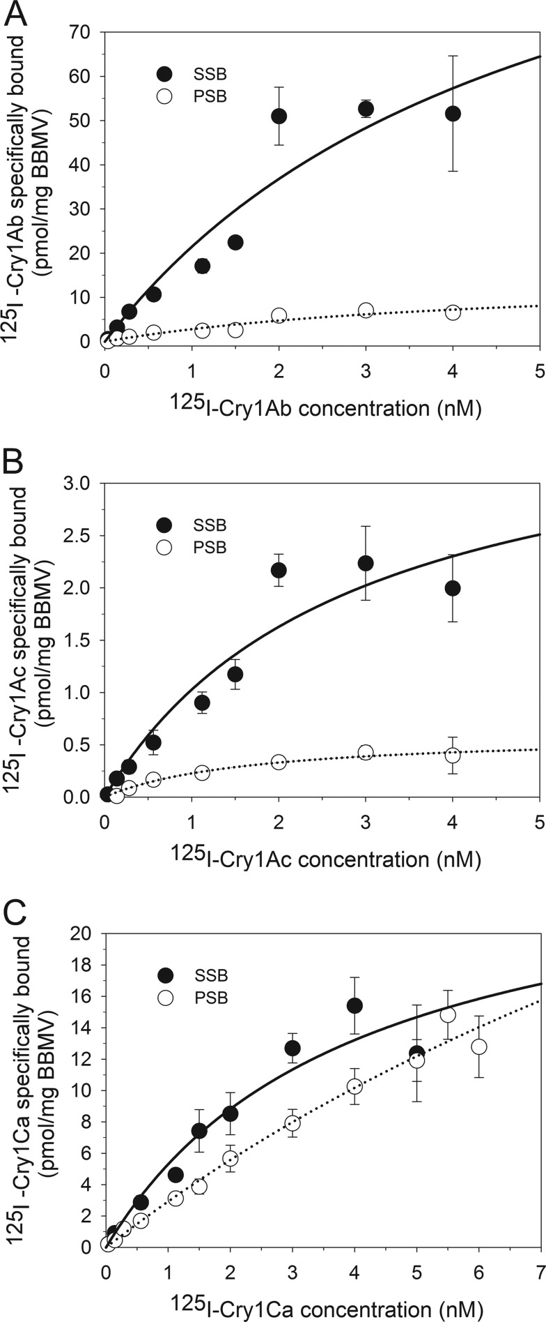 FIG 1