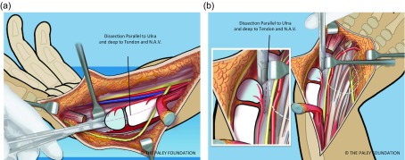 Figure 7.