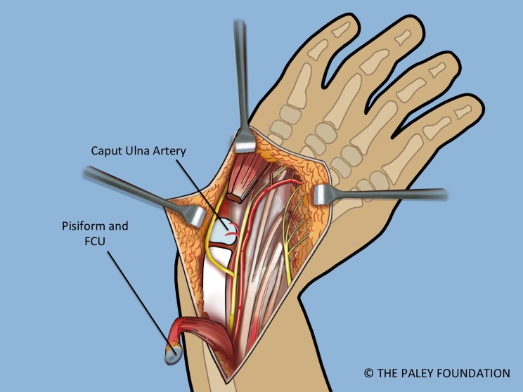 Figure 5.