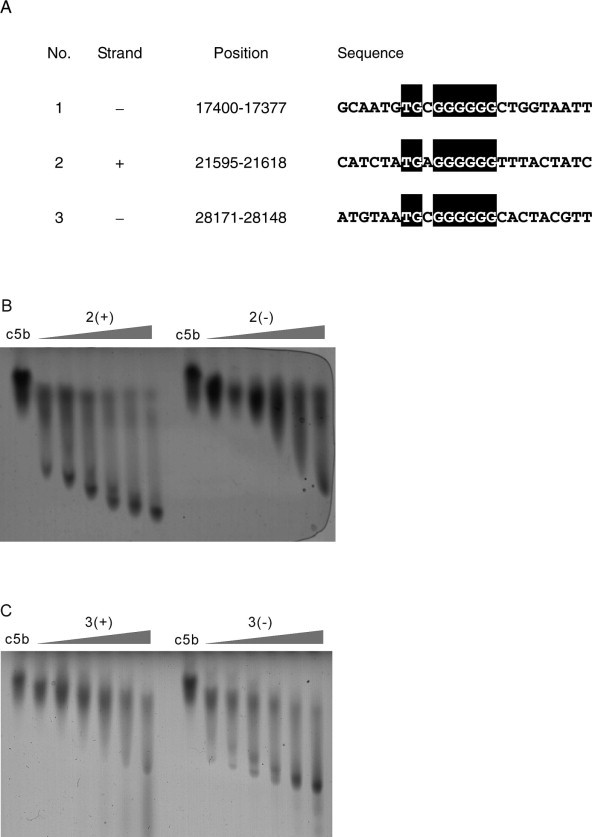 Supplementary Figure 4