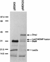 FIG. 6