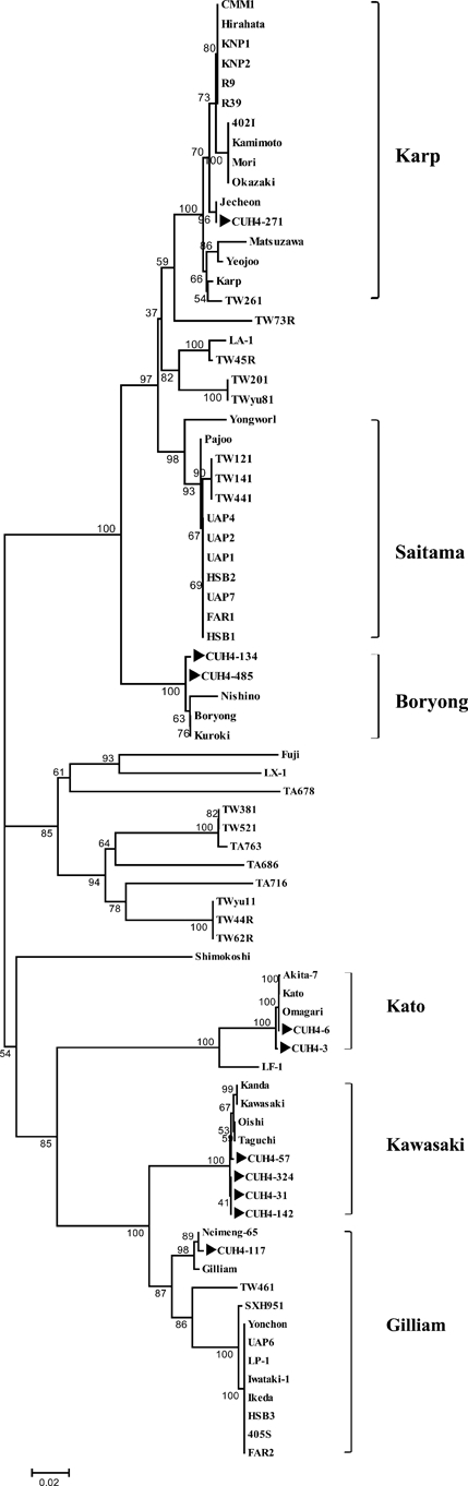 Figure 2.