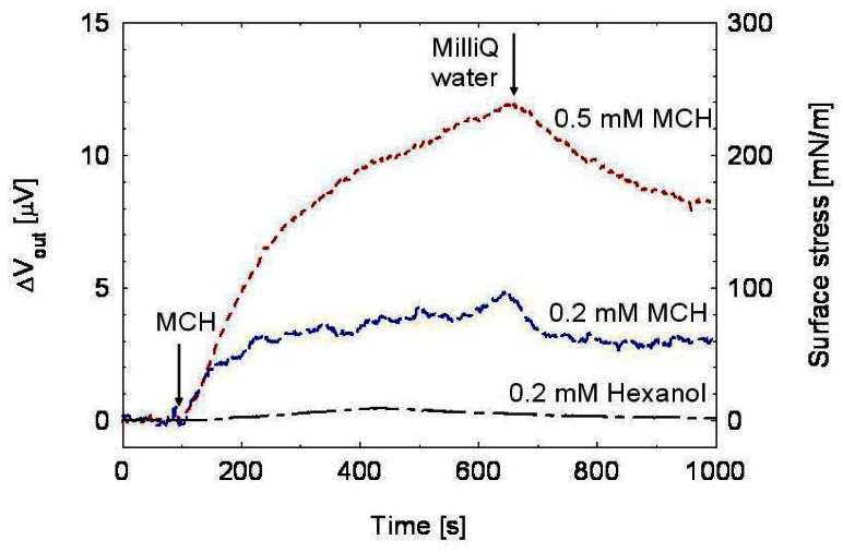 Figure 10.