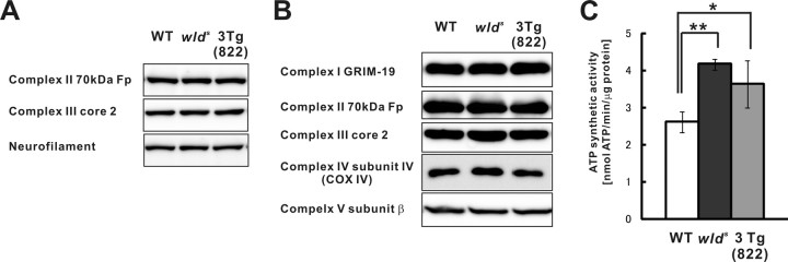 Figure 6.