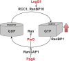 FIG 6