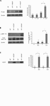 Fig 5