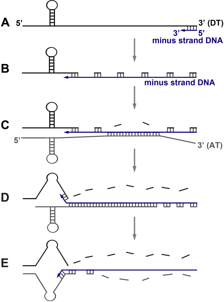 Fig. 7