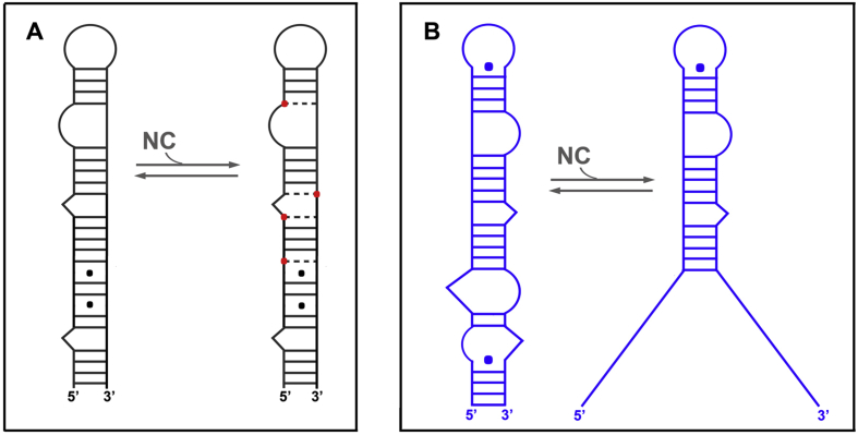 Fig. 5