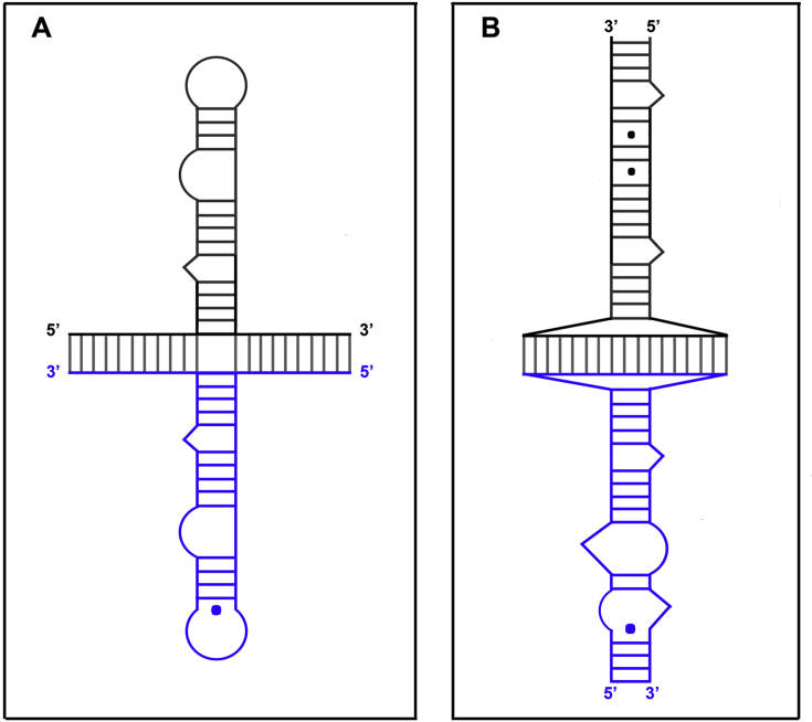 Fig. 6