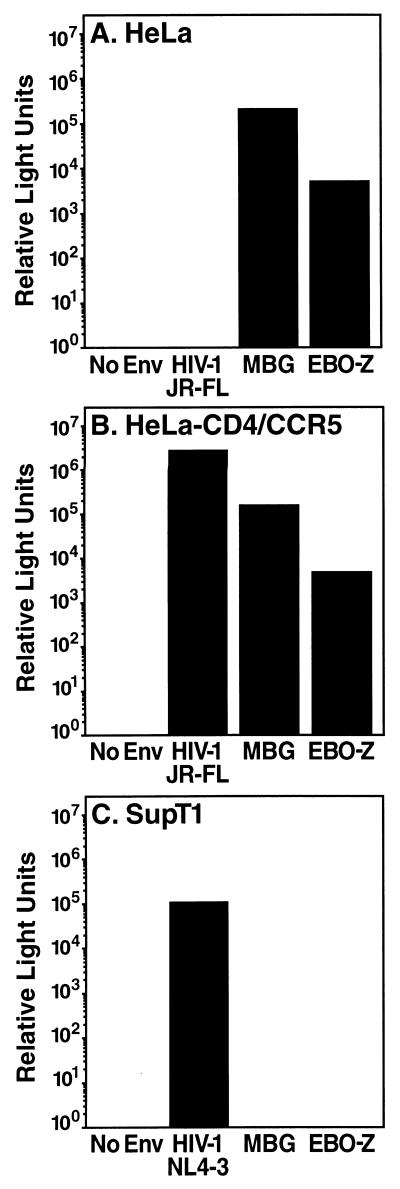 FIG. 1