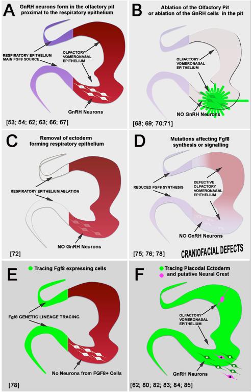 Fig.4