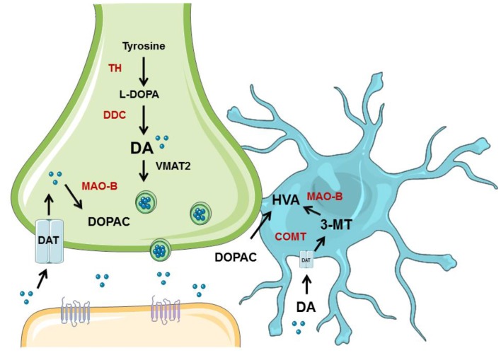 Figure 7