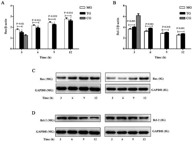 Figure 5.