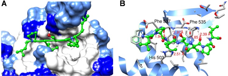 FIGURE 5.