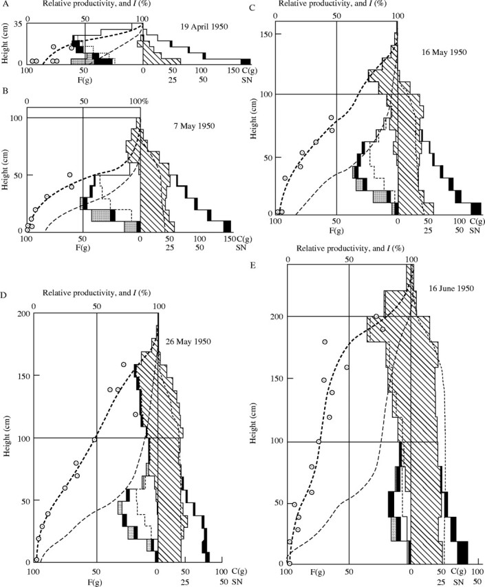 Fig. 9.