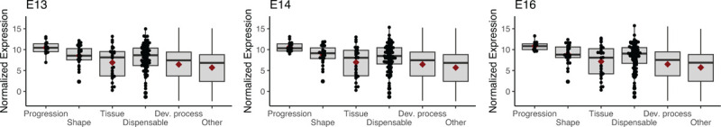 Figure 7 –