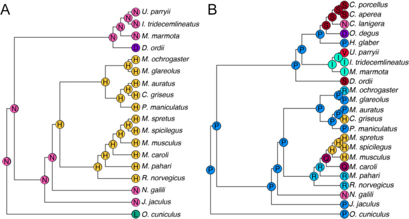 Figure 4 –