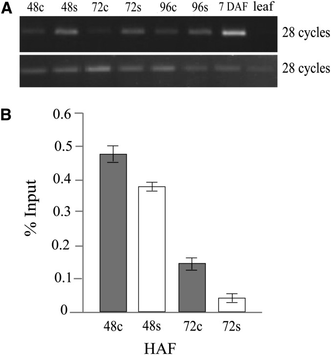 Figure 7.