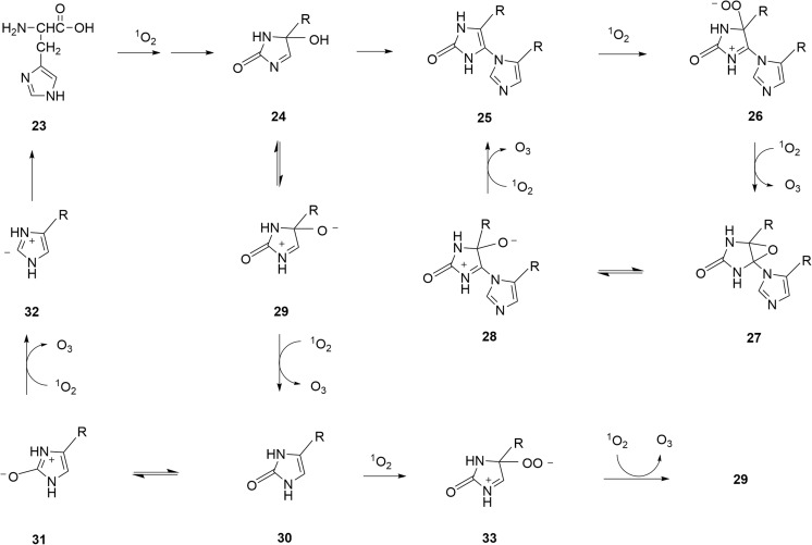 Fig. 5